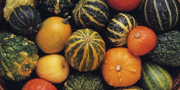 calabazas calabazas