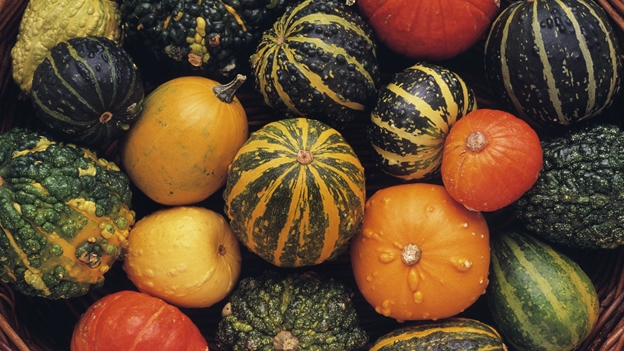 calabazas calabazas